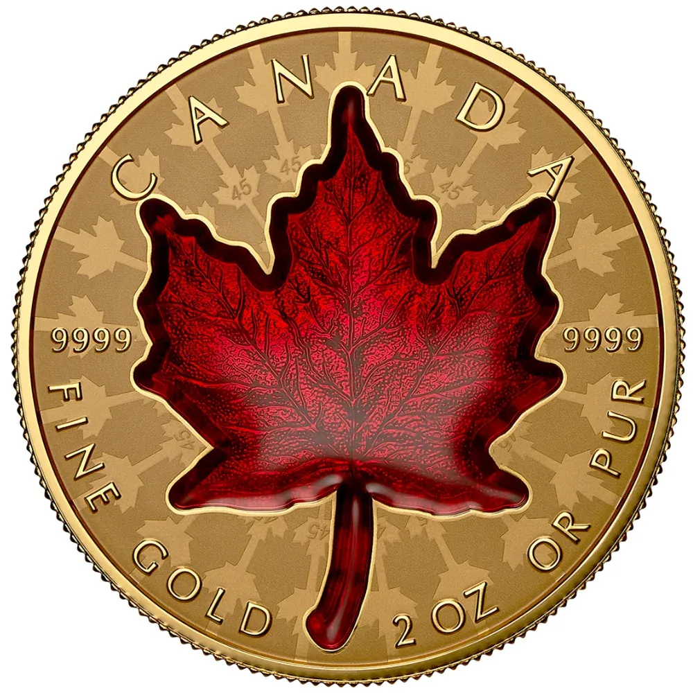 2024 Canada 2 oz $200 Pure Gold Proud Maple Reverse Proof Coin